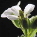 since19790723's profile picture. 恥の多い生涯を実践中。