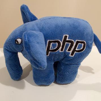 <?php echo 'Hi'; ?>
