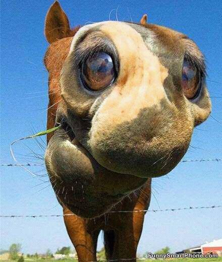 Staryer09's profile picture. 