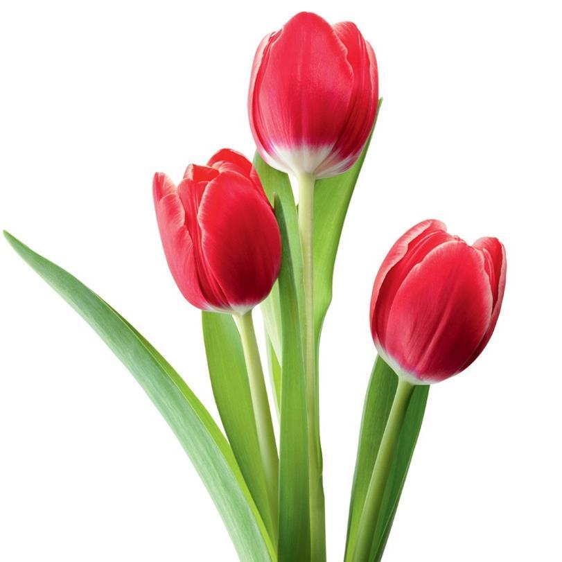 lola87844319's profile picture. 