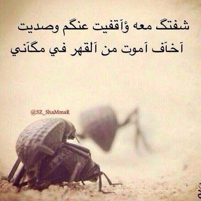 BB:5C128822