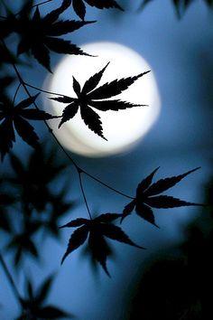 Handmade Cannabis Art on Etsy