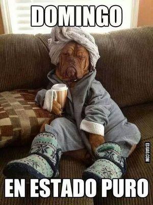 versustodos's profile picture. 