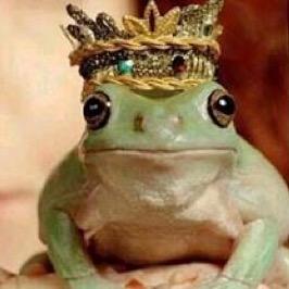 La única rana que habla, tiene sentimientos y es reyna del universo.