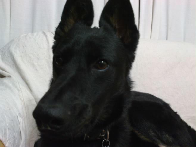 cataguscortes's profile picture. Hincha de Santa, Radical y no aplaudo delincuentes