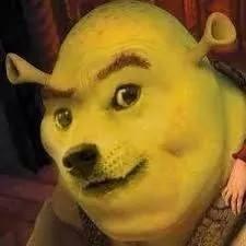 FOLLOW @xRubikk THIS IS MY BACKUP