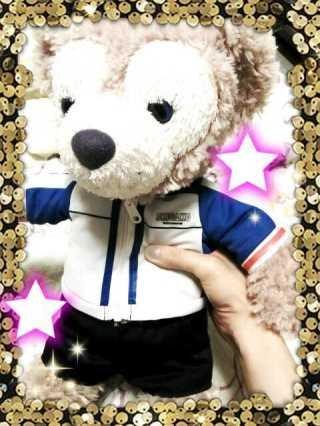 シカコシカー！