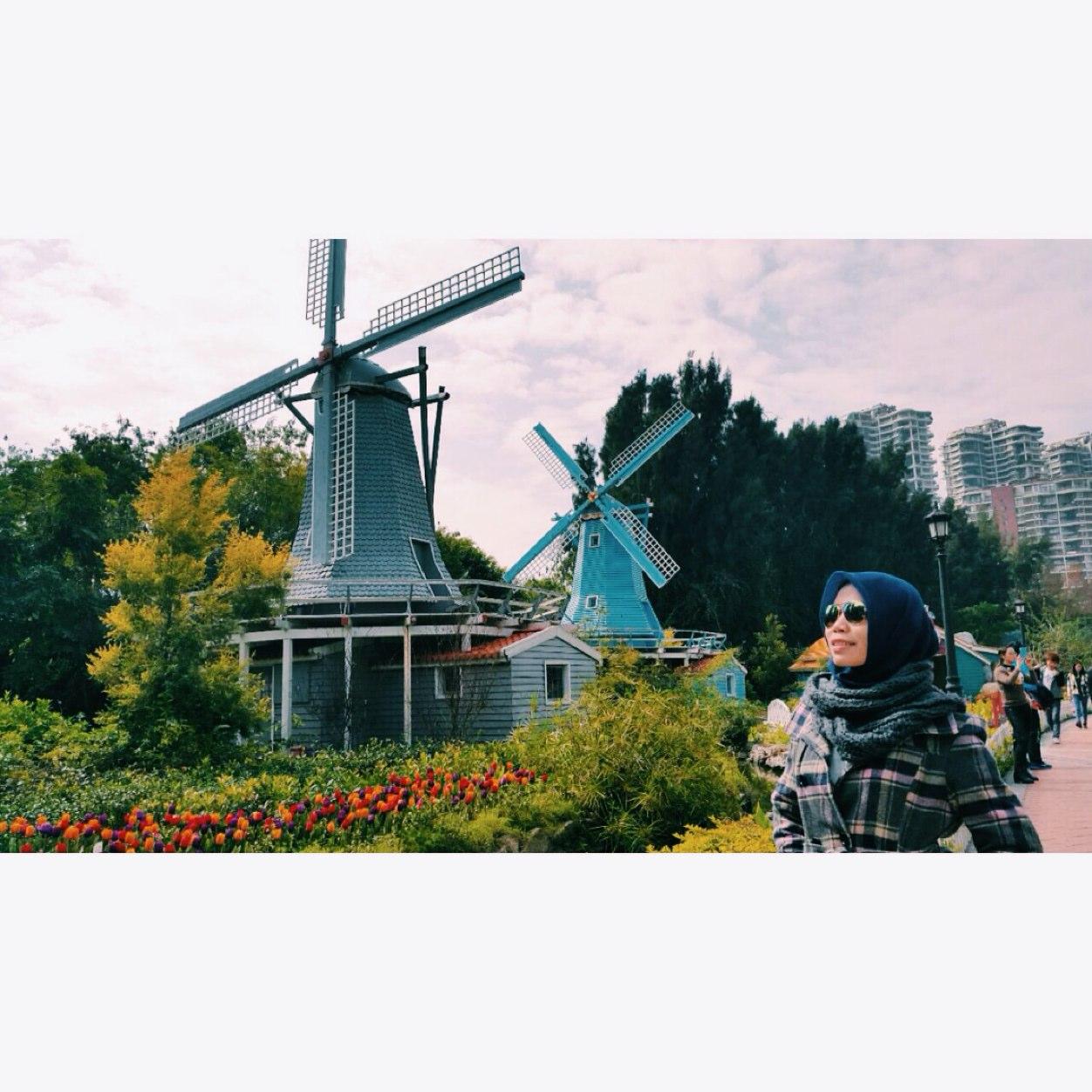doing what you like is freedom, liking what you do is happiness.