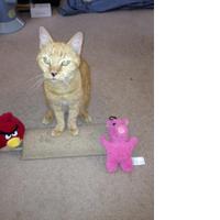 Exozone (@exozone) 's Twitter Profile