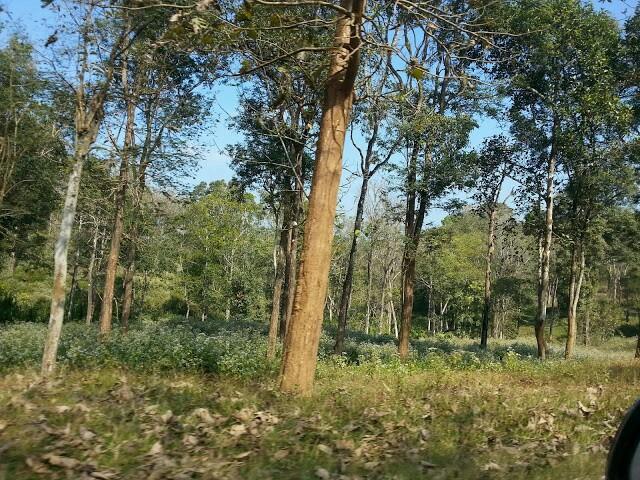 sivakma's profile picture. 