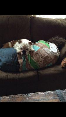 MitchLaudisi's profile picture. Journalism and Broadcasting student