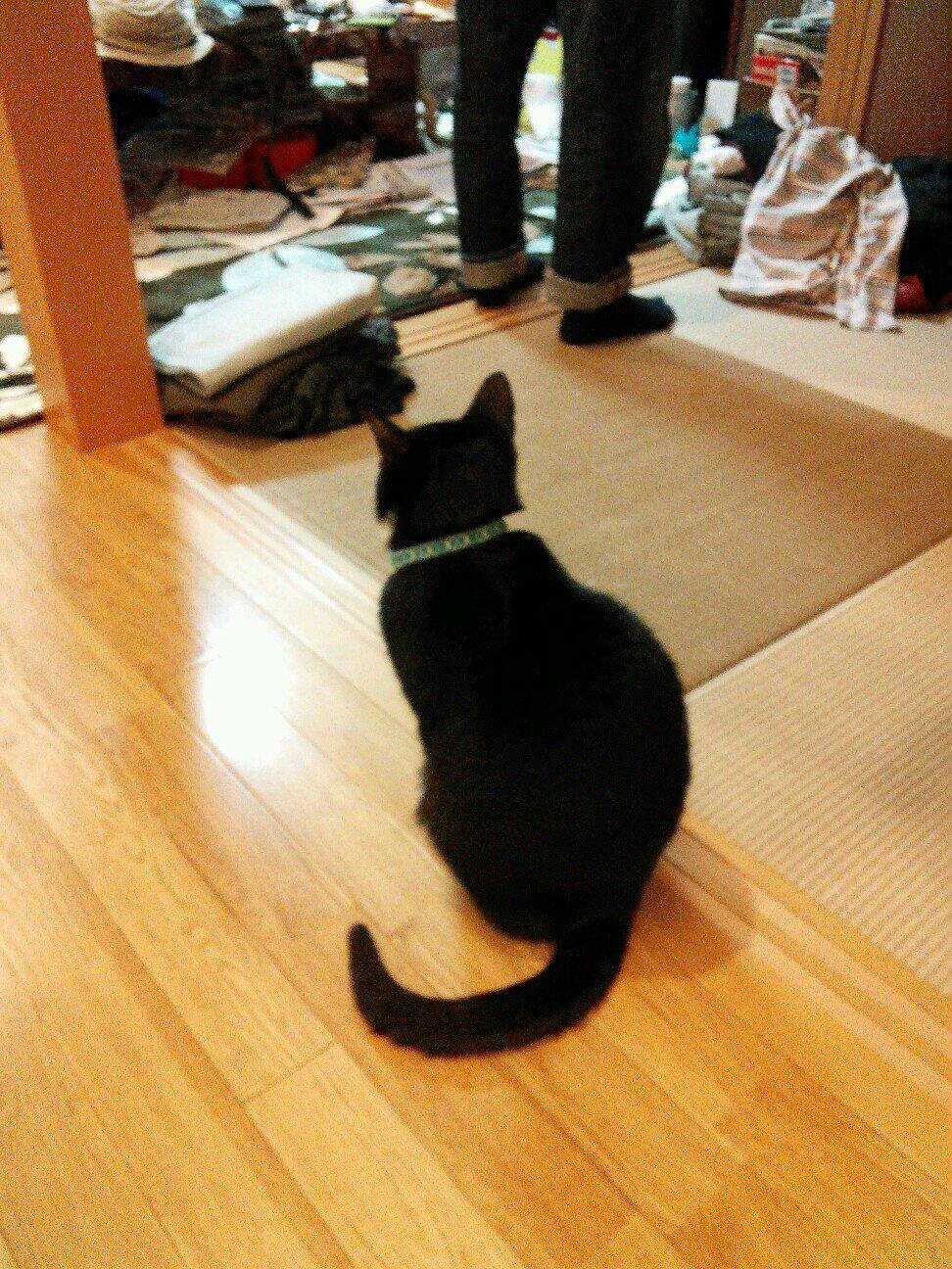 南幌中→苫小牧高専 A1 バスケ部 コミュ障と人見知りを持ってます 鍵垢→kk4507kk
