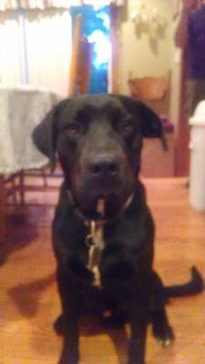 Cathystamp41468's profile picture. 