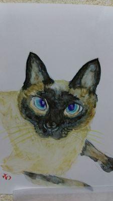 つぶきゃらの事をつぶやくために作ってみました。
同士からのフォローは大歓迎です！！


※過度なエロ表現は苦手です。ご了承下さい。登録が男キャラなので男性キャラ苦手な方は閲覧注意。