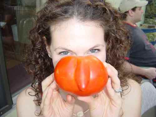 paulabhahn's profile picture. 