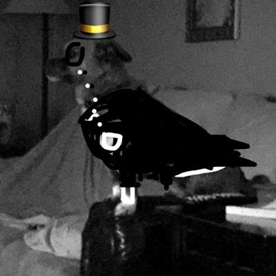 watchamecallh1m's profile picture. 