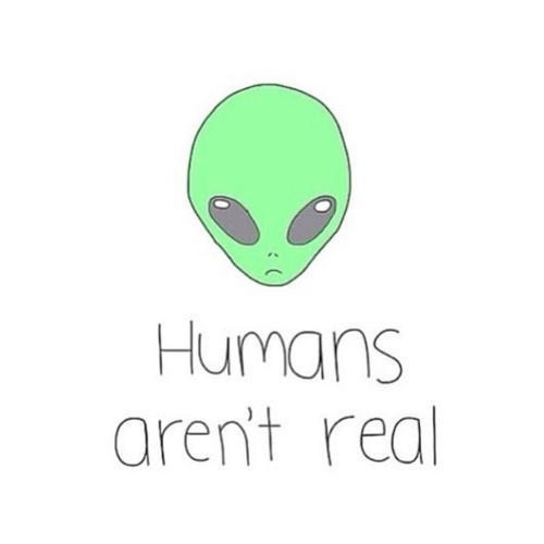 FANBASE FOR ALL RP'S [MF24H, WGF& others]