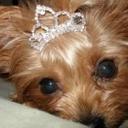 Mary Ann Holmes - @MakaHolmes - Twitter