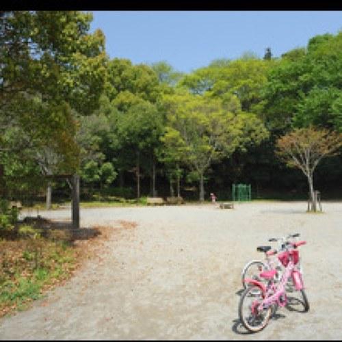 声影で副団をやらせて頂いてます。主は岩泉、赤葦、木葉、松川などなどハイキュー大好きです！声影団員募集中─=≡Σ((( つ•̀ω•́)つ