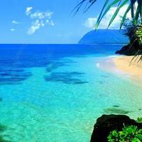 Sherry Chase (@sherrychase11) 's Twitter Profile