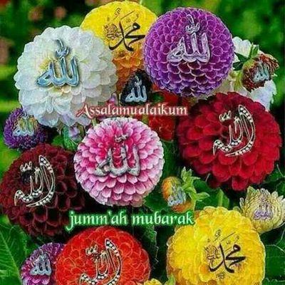 c2382492b15c4dd's profile picture. 