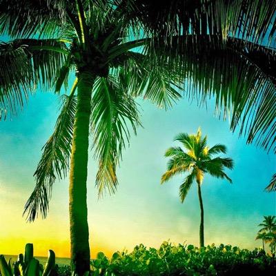 It's all here on Ivanhoe Avenue in La Jolla! Swoon Collection. Bella Sciliana. Barre59. Hi Sweetheart. Bistro Pazzo. Naturale Beauty Bar. CFA Gallery.