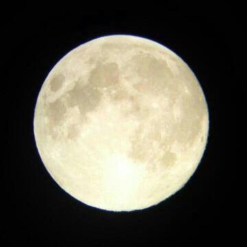 roo_popop's profile picture. Mark