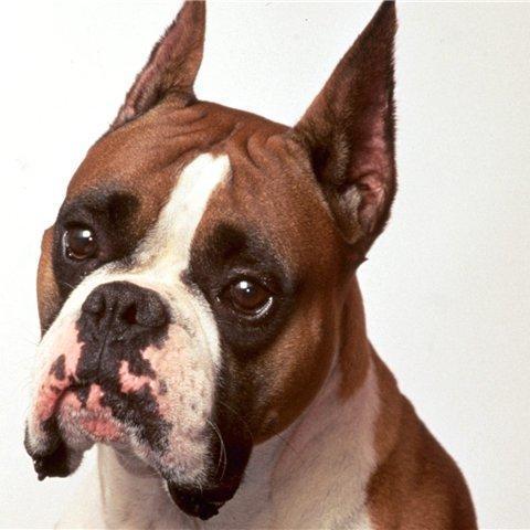 vonschrilt's profile picture. #follow #FOURTAKEOVER #mustfollow