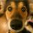 MeeeKuroyagi's profile image