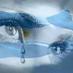 Justicia por el Fiscal Nisman.
El día en que realmente haya Justicia, dejará de llorar la Argentina.