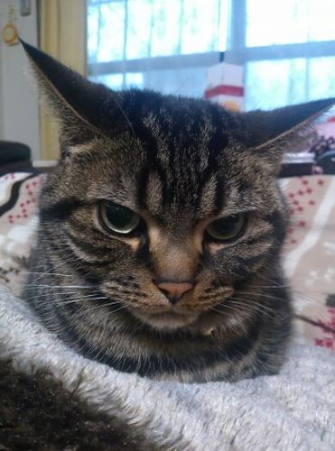 悪い事は許しません。