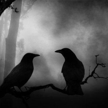 A safe place for amateur ghost hunters & paranormal enthusiasts to plan investigations as well as discuss  experiences & theories, without fear of ridicule.