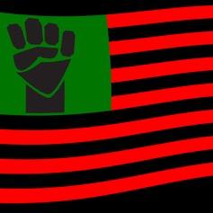 The official Twitter for #DCFreedomFighters IG: DCFreedomFighters✊