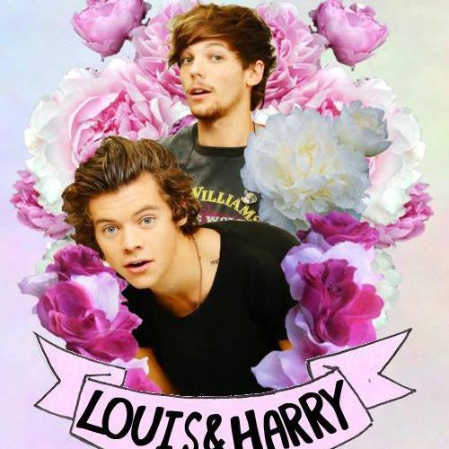 Начинающий твитерский, МНОГО СМИЩЬНОГО , #1DFOREVA жена - @smcl69