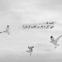 квгĕɑ'♪ ♔ (@0559Kkk) Twitter