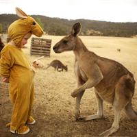 Kerrie Bignall (@bignallk) 's Twitter Profile