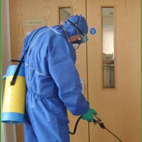 Your Pest Control Consultant
