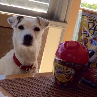 Favorite Snack - Beggin Poppers  Favorite Song - I Got Beggin