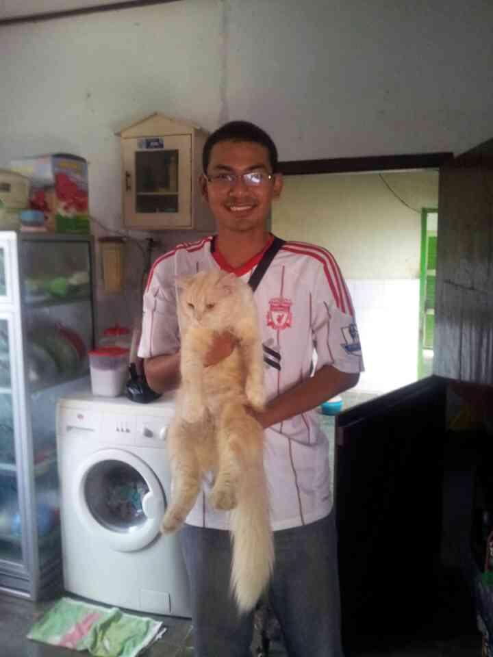 i'm a liverpool football jersey's collector. Member of reds army community