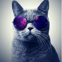 Jorge Angel Eduardo (@jr_jorge0909) 's Twitter Profile
