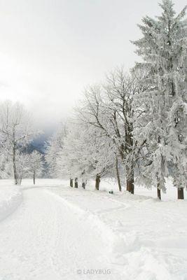 khfspiy's profile picture. 그저 할 수 있는 일을 묵묵히 할 뿐....