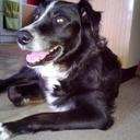 marilyn walker - @marilynswalker - Twitter