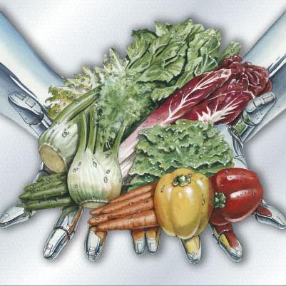 VEGETABLE MACHINERY