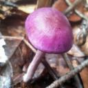 Luming Chen - @Luming_Chen - Twitter