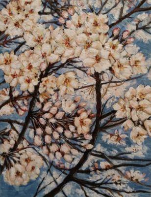 soleunjung's profile picture. 