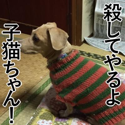 ラスト