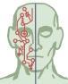 kensai7's profile picture. Neuroengineer