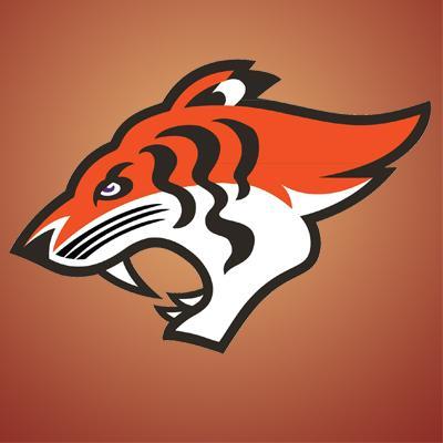 Welcome to the official page of the Chandigarh Tigers of the Elite Football League of India (EFLI).