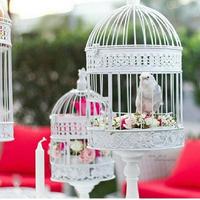 تغـريد || 12 (@tagareed) 's Twitter Profile