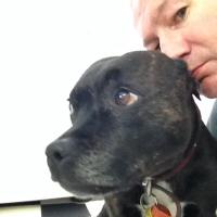 METmurse (@hootsho) 's Twitter Profile